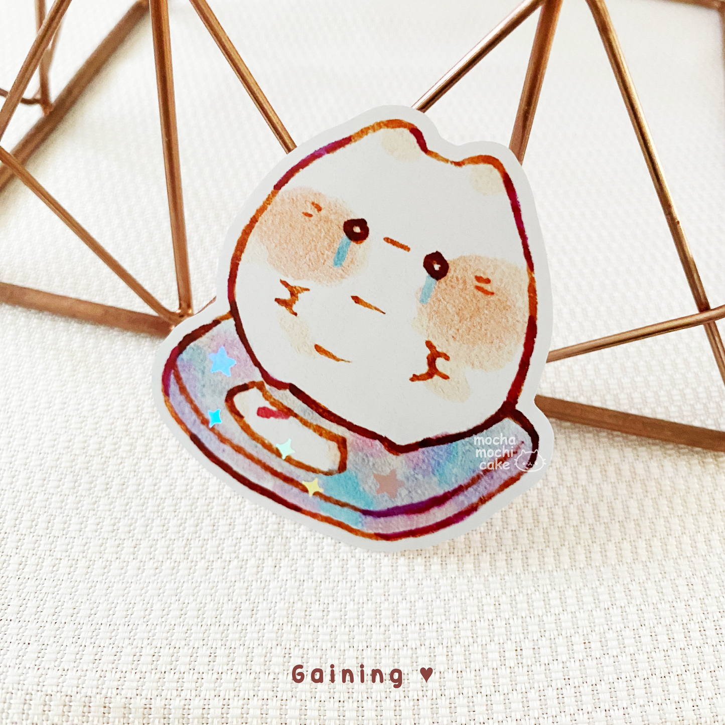 Chonky Cats Vinyl Stickers